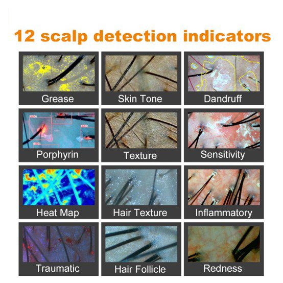 %Kosmetische Behandlungen Dresden%